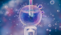 2025年河南试管成功率排名前三医院：哪家医院成功率最高，治疗效果最