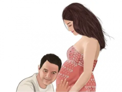 陆军军医大学第二附属医院试管成功率究竟如何？详细成功率数据与解