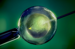 2025年东莞私立医院做三代试管男孩的总价格解读！