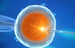 佛山2025年做三代试管费用项目整理，全部流程下来差不多这个数！