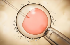 2025年沈阳三代试管整体价格明细整理，各项目收费看这里！