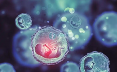 武警特色医学中心供卵试管，整体费用大揭秘：从初步评估到成功移植