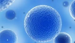 子宫内膜20mm，试管移植能否成功？揭秘真相！