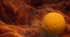 邯郸市妇幼保健院试管费用大揭秘：高性价比，助你圆梦好孕！