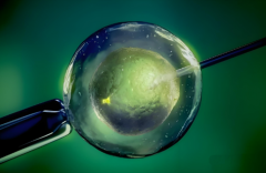 2025广东三代试管最好的医院大全，看看选哪家更好！