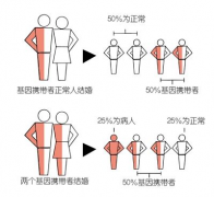 染色体异常做试管，费用全知晓！