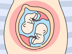 宁夏医科大学总医院进行一代试管技术的费用是多少，全面解析试管花