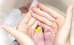 北医三院一代试管费用全揭秘：高性价比，助你轻松实现生育梦！