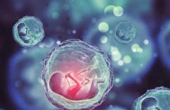 西安交大一附院一代试管费用全解析：价格区间大揭秘！