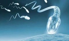 西京医院二代试管费用大揭秘：一次到底要花多少钱？