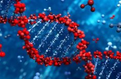 西安四院二代试管费用全揭秘：一次尝试究竟需要多少预算？