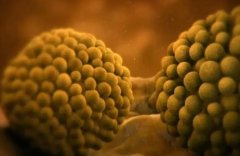 唐都医院一代试管费用大起底：一次治疗究竟需要多少“幸福投资”？