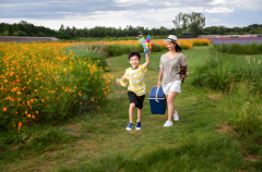 2025海外三代试管助孕费用揭秘：钱怎么花如何花心里有数！