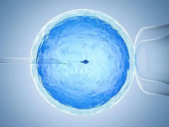 试管必看：不同胚胎类型，取卵后移植时间不一样！