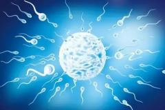 在苏大附一院进行供卵试管治疗，大概需要花费多少钱？全面解析费用