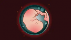 中山市人民医院试管技术表现如何？全面解析技术实力与成功率，为您