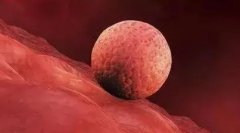 长沙三代试管费用大起底，看完让你心里有谱不踩坑！