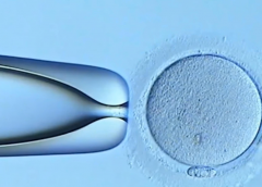 有关南昌三代试管收费和注意事项，你想知道的都在这里！