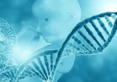 河北做三代试管需要多少费用？真实费用分享在这里！