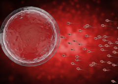 西安做三代试管有哪些费用？详细价格清单请收下！