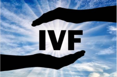 云南省第一人民医院供精人工授精的全部费用大概是多少？详细费用解