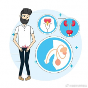 患有前列腺炎的男性是否可以做试管？全面解析前列腺炎对试管治疗的影响及可行性