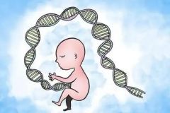 取卵手术后的第二个月，竟然成功怀孕了！这背后的原因究竟是什么？详细解析取卵与怀孕之