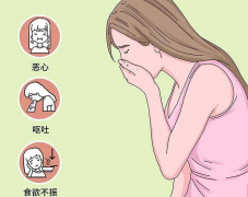 怀孕以后没有早孕反应，说明胚胎发育不好不属实！