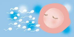 玉林市妇幼保健院进行人工授精服务的费用是多少？全面了解帮助您做好预算准备