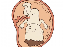 芜湖市哪家医院的试管技术最好，寻求专业可靠的医院推荐