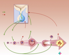 辽宁省计划生育研究院怎么样？全面介绍其医疗水平、服务质量与口碑