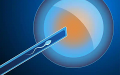 沈阳陆军总院生殖中心怎么样？全面解析其医疗水平、服务质量及试管