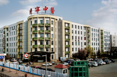 辽宁省中医院试管技术如何？成功率发布！