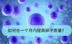 女性卵子质量不好，采用这些办法能提高试管成功率！