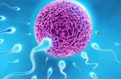 2025年试管费用了解，一个周期需几万元！