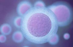 “揭秘女性受孕秘诀：精准把握排卵周期，科学监测排卵时间！”