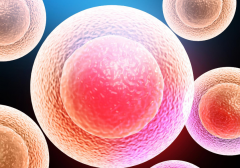 40岁女性想要试管，请参考这些成功经验！