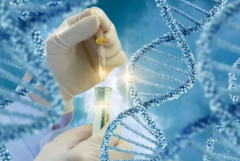 三代试管需要多少钱？费用、流程、成功率全面解析！