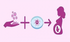 不孕不育患者能否通过试管技术实现生育梦想？全面解析与指导
