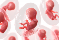 盘点哪些女性做试管容易成功，看下你符合条件吗？