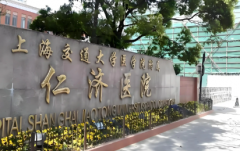 2025年上海试管成功率排行榜：最全医院名单与费用解析