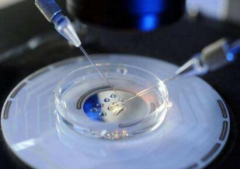 南阳不孕不育治疗费用指南：让您了解每个治疗环节的具体费用！