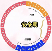 排卵期同房为什么还是没有怀孕？怎么提高排卵期受孕成功率？