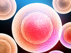 40+女性做试管成功率有多少？做试管有风险吗？