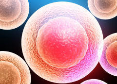 高龄女性做试管婴儿怎么才能成功？这些方法能帮助你怀孕！