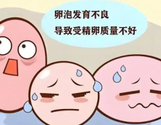 什么是卵泡发育不良？哪些原因导致卵泡发育不良？
