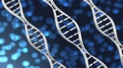 揭秘无精子症：男性不育的隐形杀手！