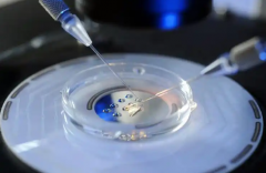 上海第三代试管能包生'男'孩吗？三代试管生'男'孩技术支持