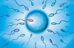 探讨死精症患者采用二代试管技术的精子成活率情况：全面了解其成功概率与影响因素