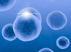 联勤保障部队第983医院供卵试管治疗的全部费用详解：了解治疗预算与